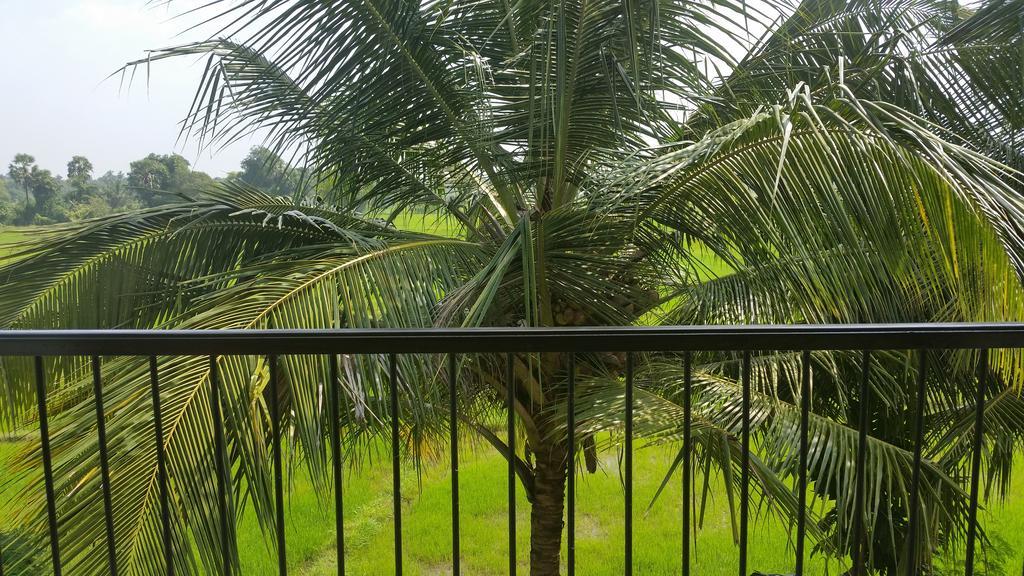 מלון אנוראדפורה Serene View Tourist Rest מראה חיצוני תמונה
