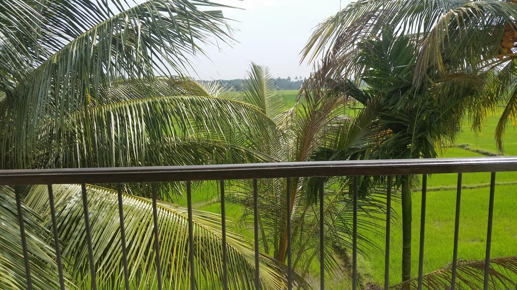 מלון אנוראדפורה Serene View Tourist Rest מראה חיצוני תמונה